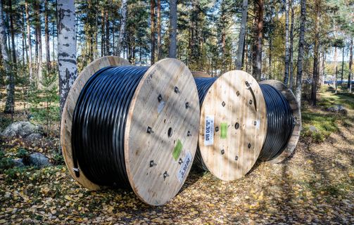 Cable drum woods forest outdoor