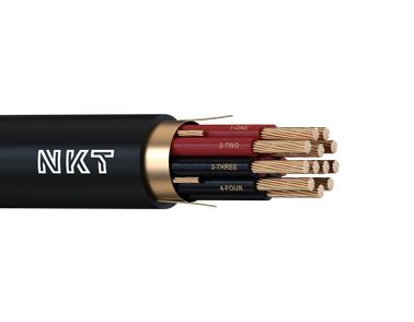 Image of 12-Core THWN-2