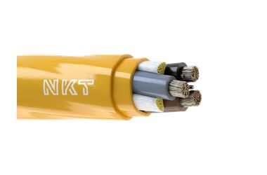 Image of RJIT 0,6/1 kV Cable