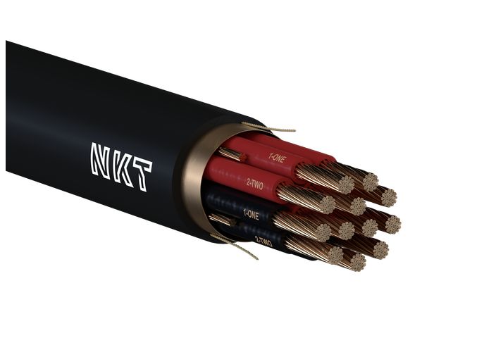 Image of 12-Core THWN-2