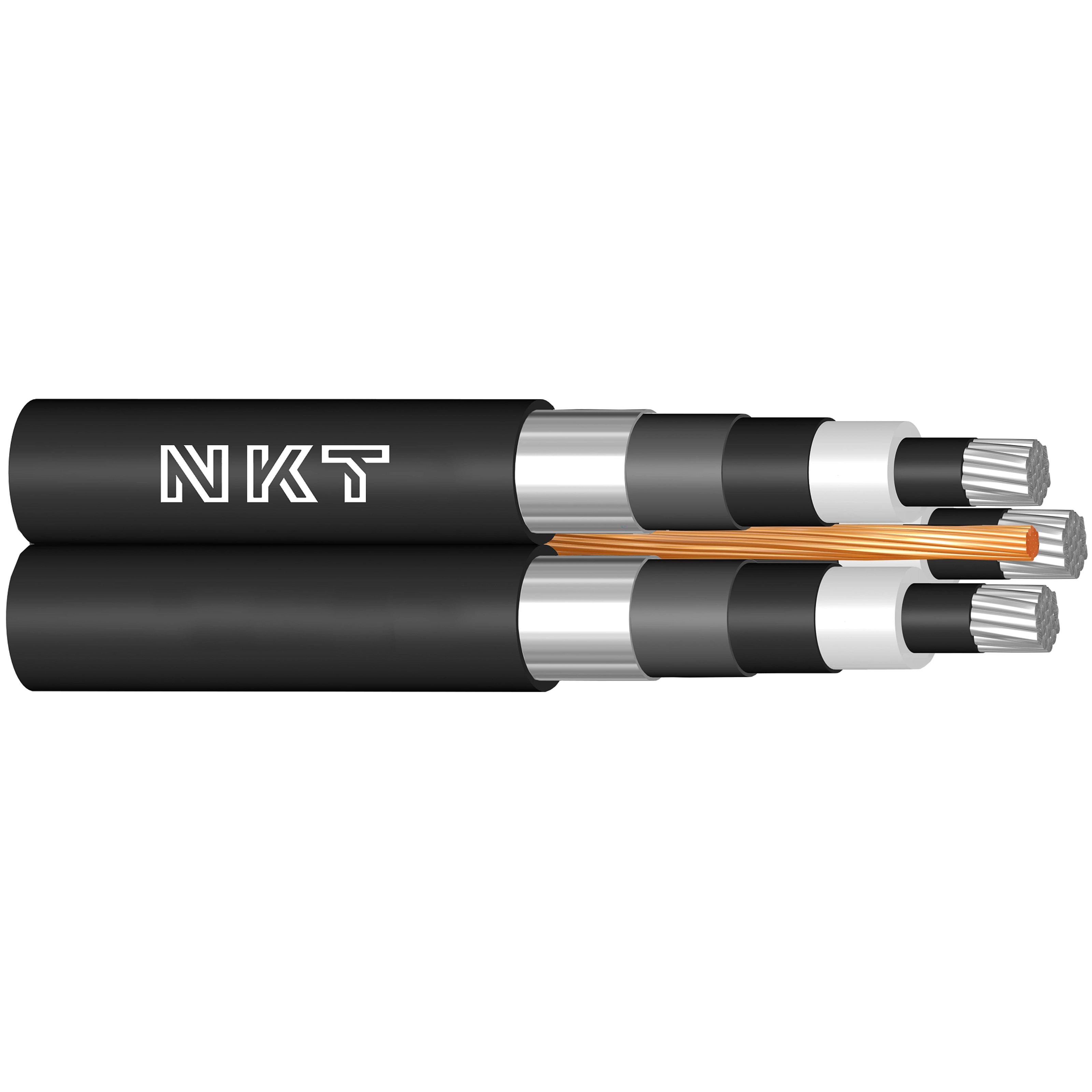 aHR0cHM6Ly9ua3Qud2lkZW4ubmV0L2