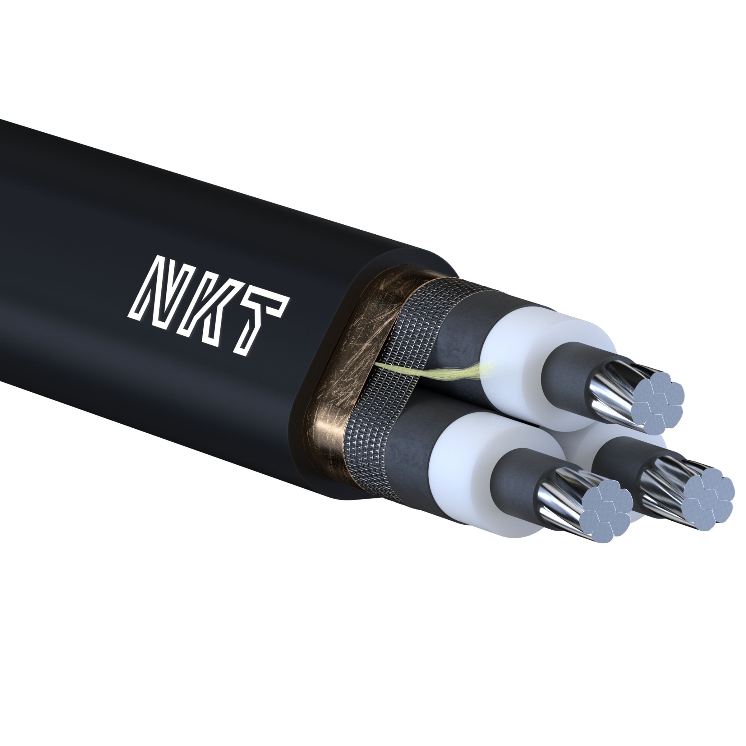 aHR0cHM6Ly9ua3Qud2lkZW4ubmV0L2