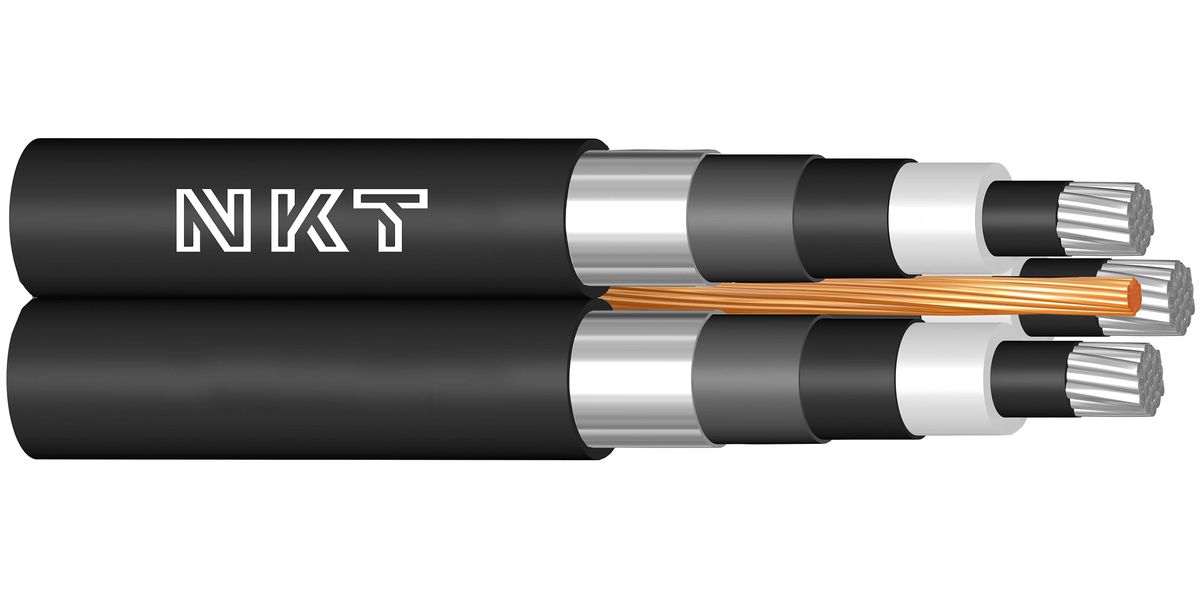 aHR0cHM6Ly9ua3Qud2lkZW4ubmV0L2