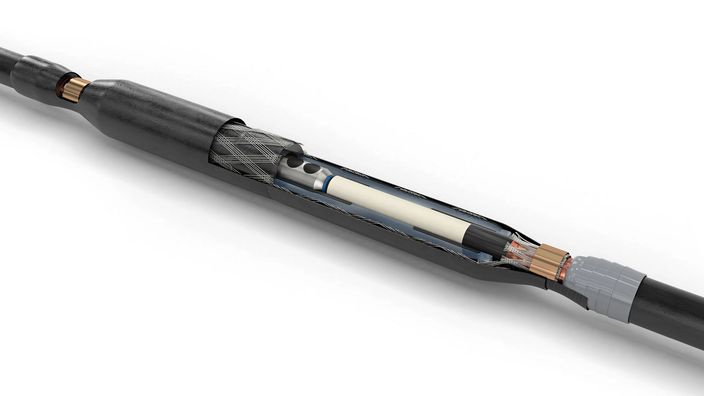 Image of JCSI