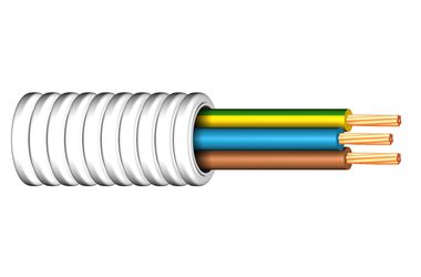 Image of RQ 450/750 V cable