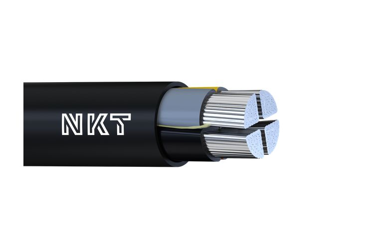 Search | NKT
