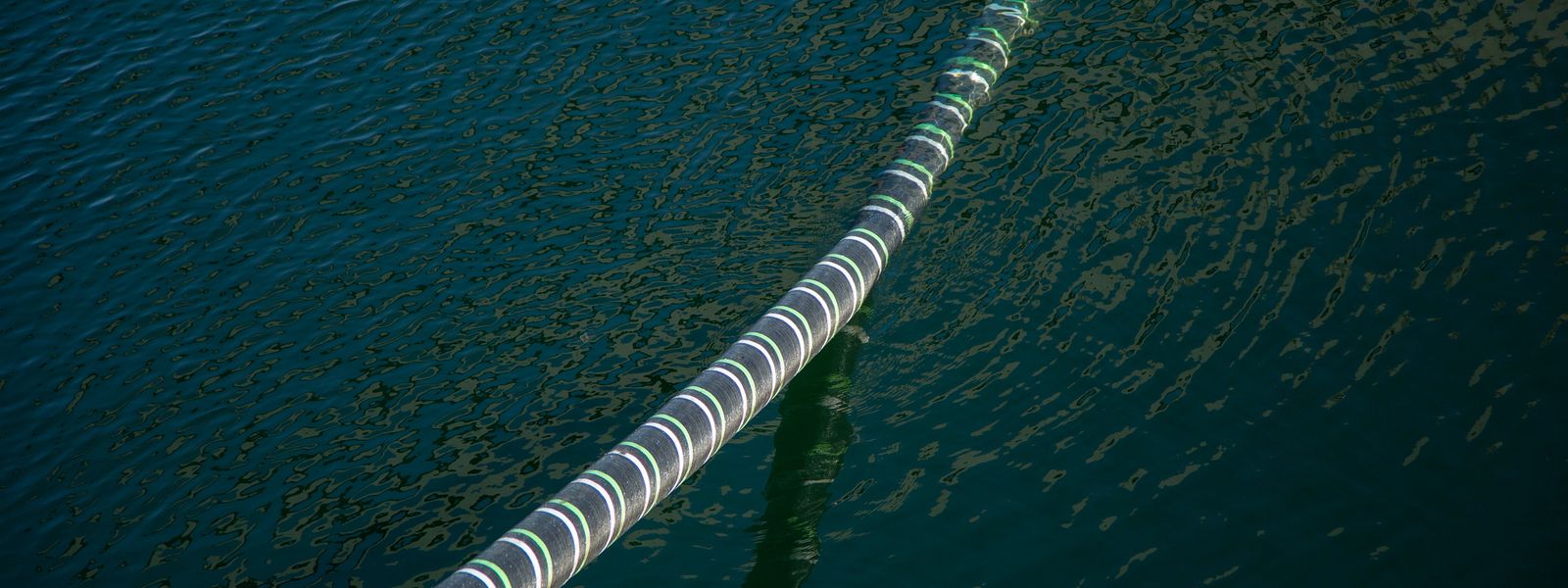 Sustainability_Report- front-clean.jpg