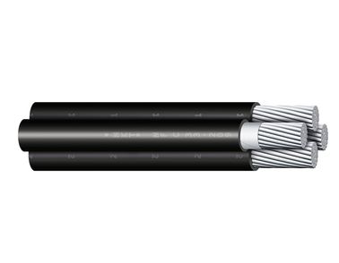 Image of FR-N1XD9-AR cable