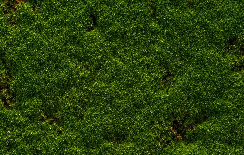 AdobeStock_114767679 2.jpg
