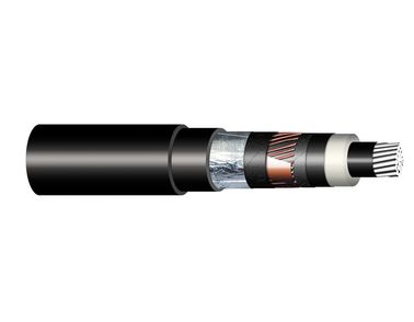 Image of 10-AXEKVCVEY cable